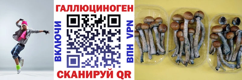 купить Ялуторовск Галлюциногенные грибы мицелий